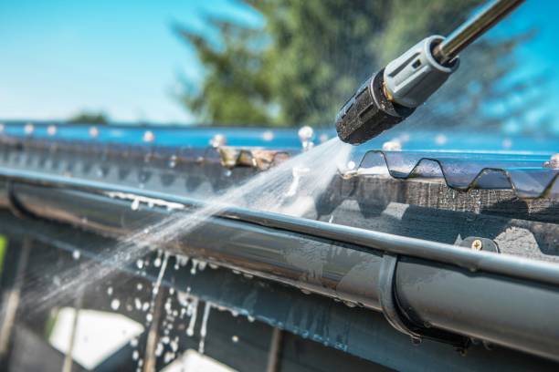 Best Residential Pressure Washing Services  in Hector, MN
