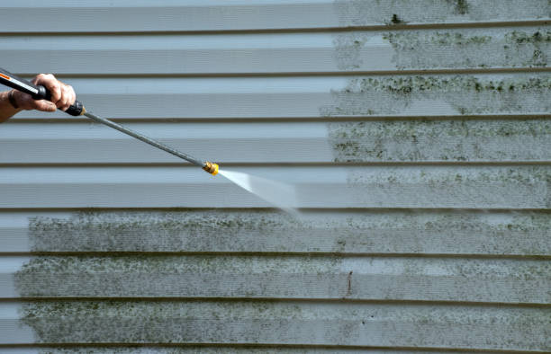 Trusted Hector, MN Pressure Washing Experts