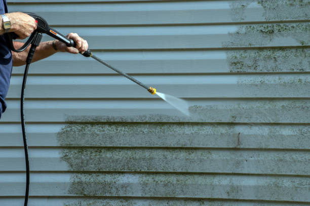 Best Pressure Washing Brick  in Hector, MN