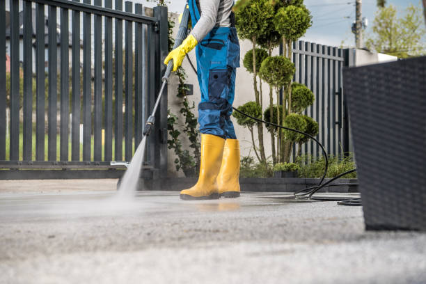 Best Roof Pressure Washing  in Hector, MN