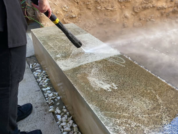 Best Garage Pressure Washing  in Hector, MN