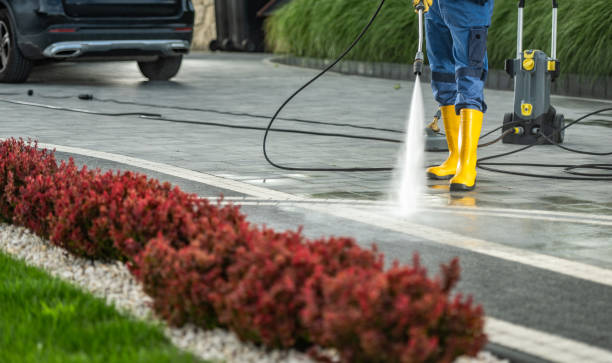 Best Deck Pressure Washing  in Hector, MN