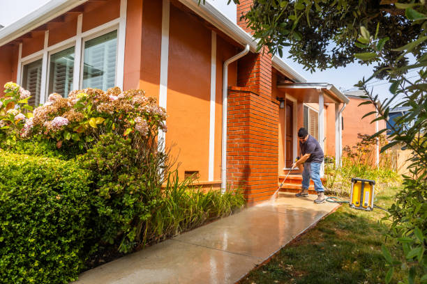 Best Best Pressure Washing Companies  in Hector, MN