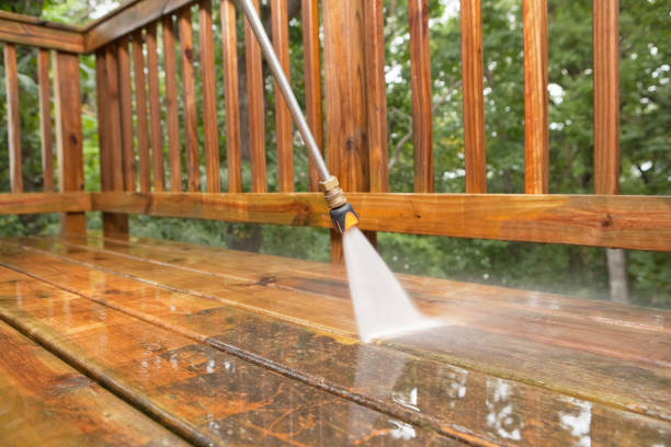 Best Fence Pressure Washing  in Hector, MN