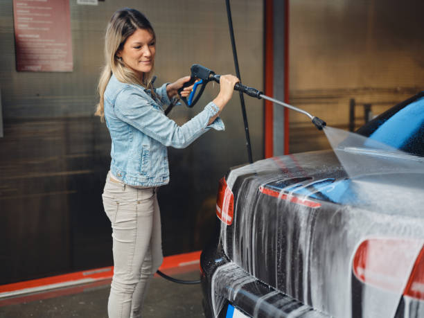 Best Commercial Pressure Washing  in Hector, MN